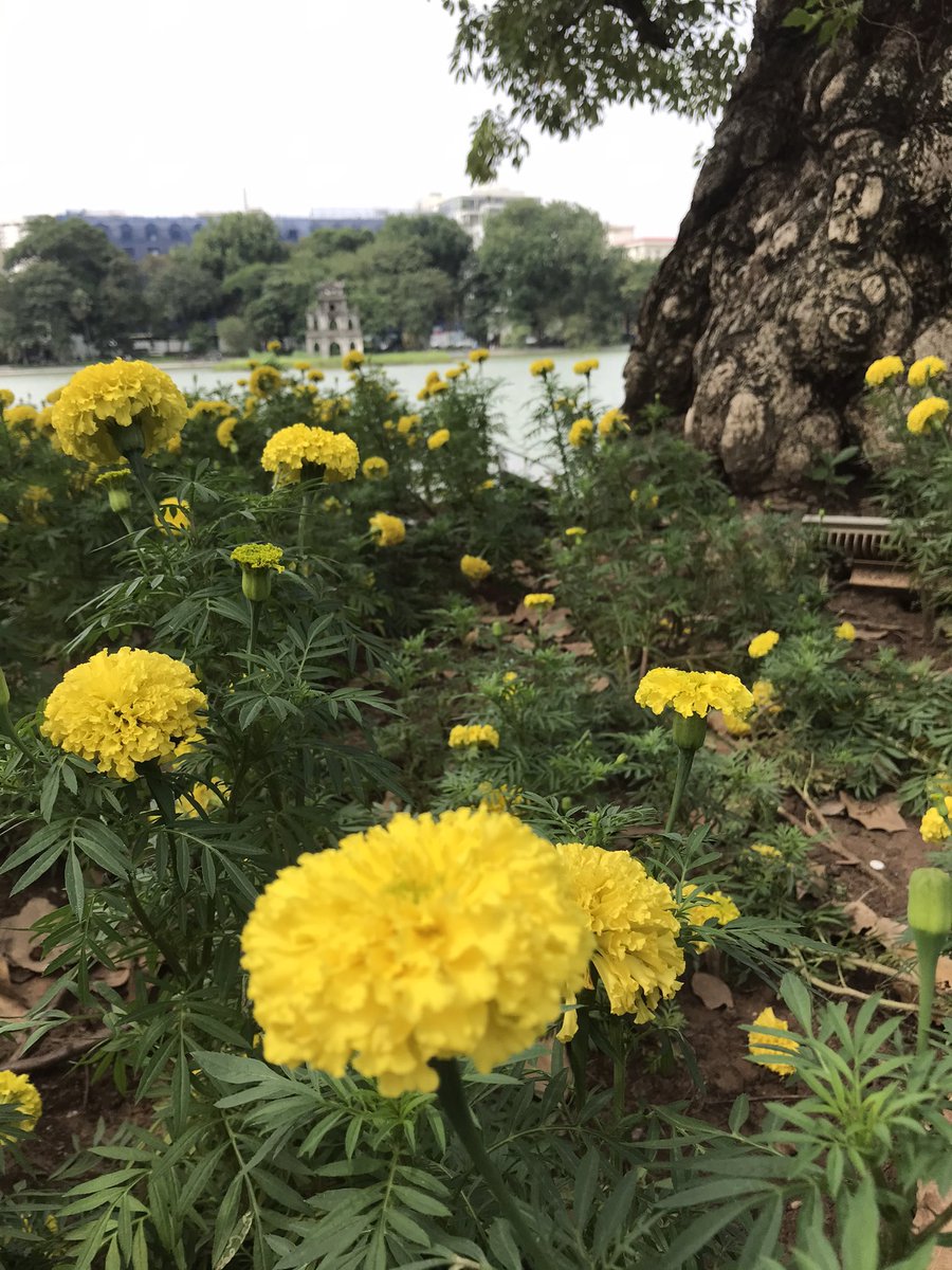 Chủ Nhật
