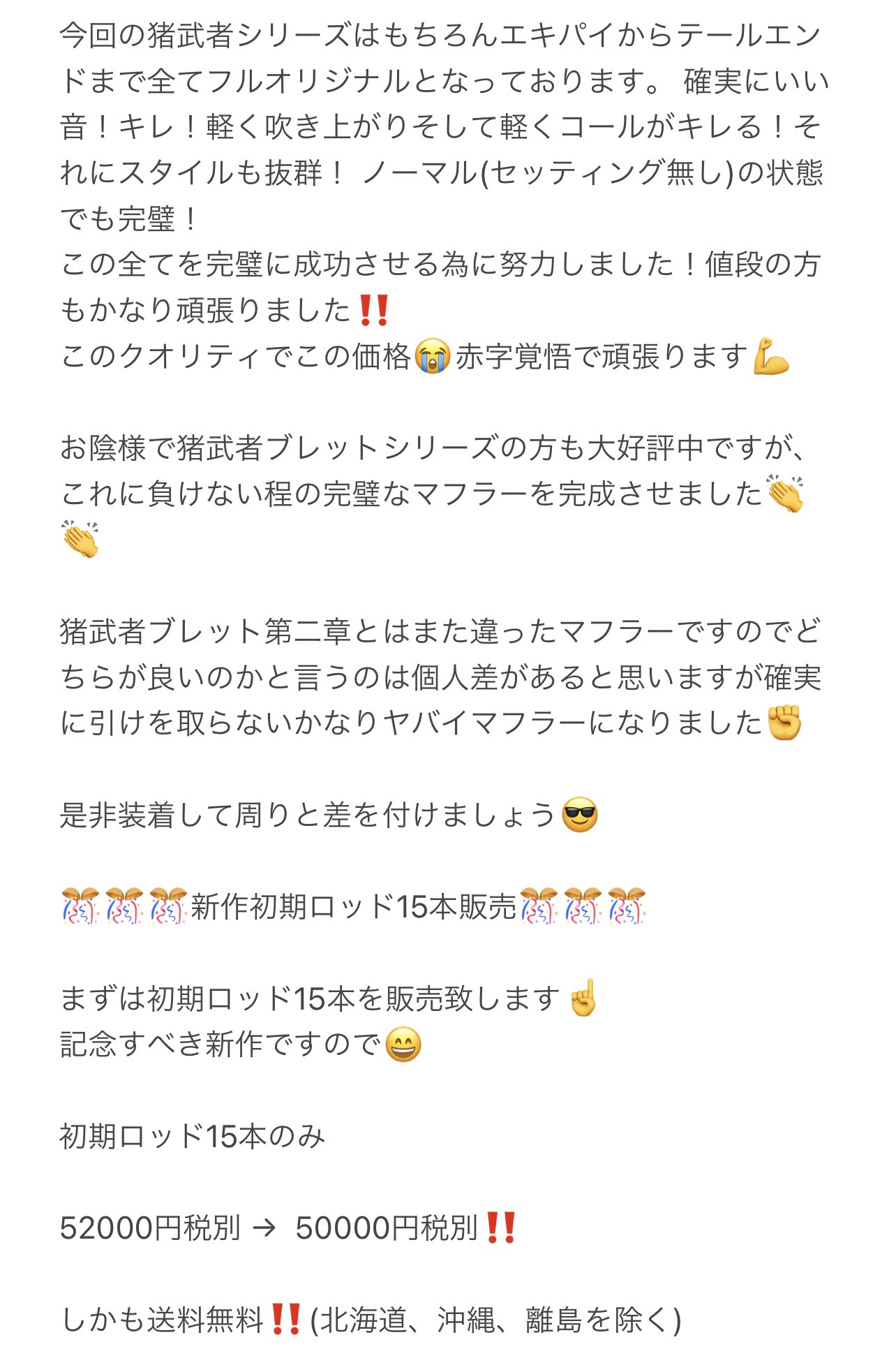 初回限定 値下げ‼️ゼファー400 【初期ロット:廃盤貴重】猪武者