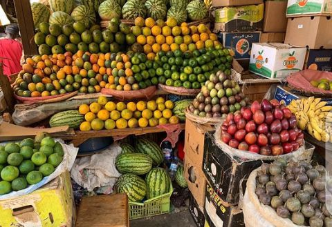 jcniyomugabo's tweet photo. Key facts about fruits and vegetables

Up to 50 per cent of fruits and vegetables produced in developing countries are lost in the supply chain between harvest and consumption.

Advocacy for fresh produce is needed to help farmers get access to markets and good infrastructure. https://t.co/1cDni8trCU