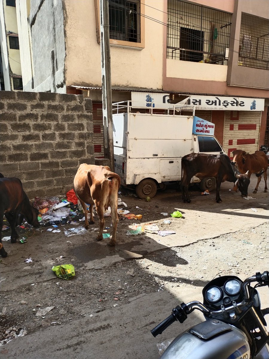 KacharaGulzar's tweet photo. @JuMC_Complaints સફાઇ કર્મચારી અહીંયા કચરાના ઢગલા ના કરે એવી અમારી વિનતી છે     નવા નાગરવાડા સેરી નંબર ૨ માં આવી રીતે કચરા ના ઢગલા  ના કરે એવી  અહીંયા ના  અધિકારી સફાઇ કર્મચારી ને સૂચના આપે જેથી  આ ગંદકી નો ત્રાસ દૂર થાય  એવી અમારી વિનંતી છે plz support sir https://t.co/ILHyaqCcLT