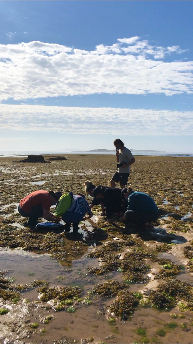 Madi O’Brien (@_madiobrien) on Twitter photo Searching for the butterflies of the ocean at this year’s #SeaSlugCensus <a href="/vnpatweets/">Victorian National Parks Association</a> <a href="/ParksVictoria/">Parks Victoria</a> #CitizenScience Searching for the butterflies of the ocean at this year’s #SeaSlugCensus <a href="/vnpatweets/">Victorian National Parks Association</a> <a href="/ParksVictoria/">Parks Victoria</a> #CitizenScience