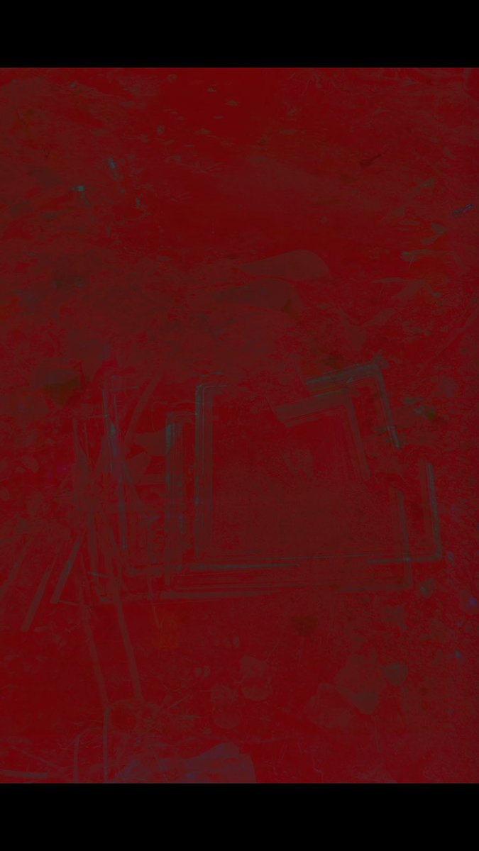 KoopCollier's tweet image. to ights vibes