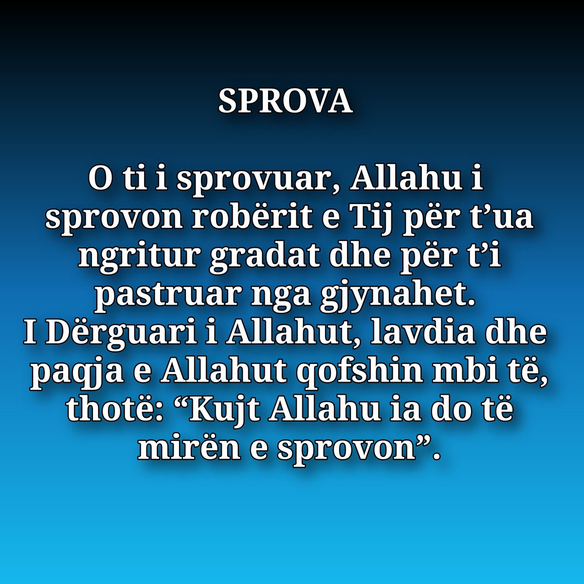 LutjeDitore's tweet image. #Sprova