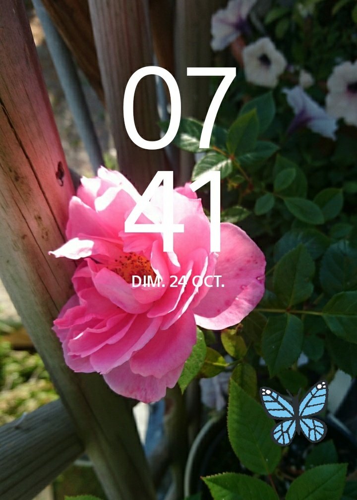 MARY_AD685's tweet photo. Good Morning โ๏ธ๐๐ฅ๐ฅfrom France๐ซ๐ท
#Thanks4Follow #BeautifulSunday https://t.co/FTbYOBgs0b
