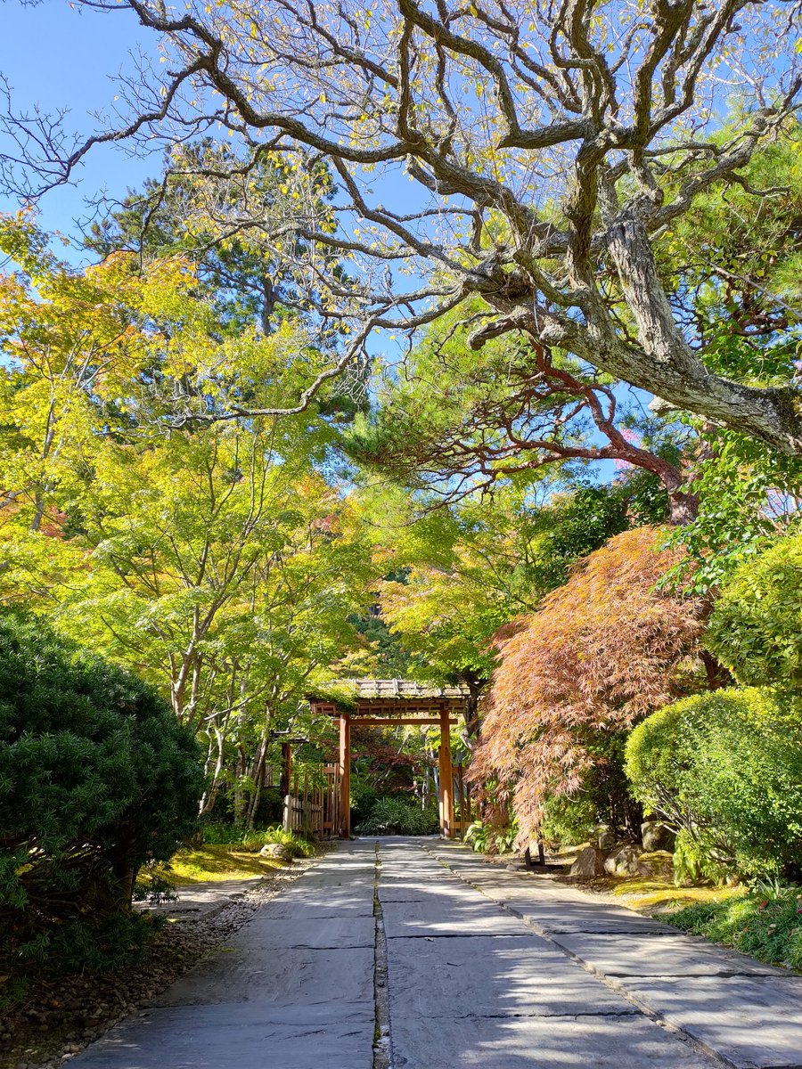 yu_huma's tweet photo. 紅葉にはまだ早いようです https://t.co/VIVl3WZGSt