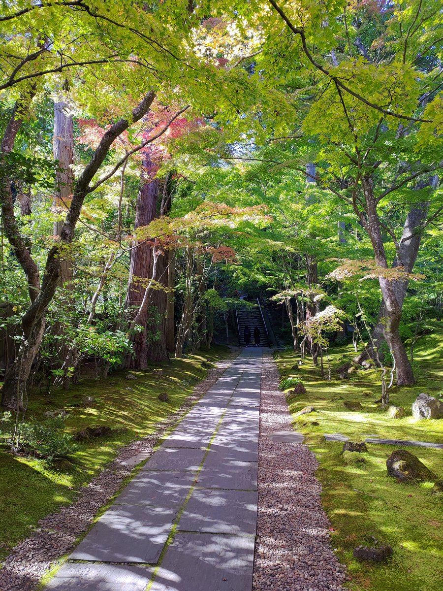 yu_huma's tweet photo. 紅葉にはまだ早いようです https://t.co/VIVl3WZGSt