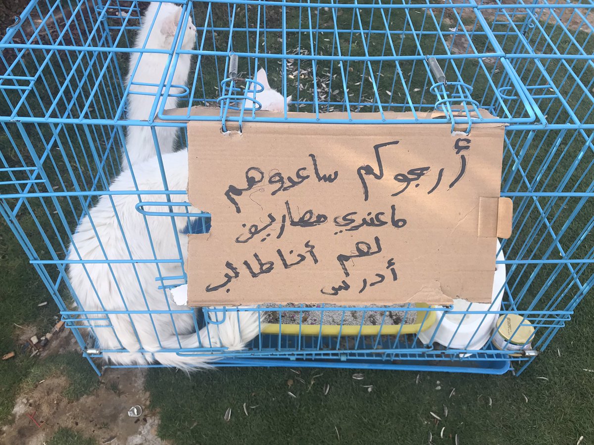 soundsoul396's tweet photo. ( متخلى عنهم بحديقة)هذه نتيجة الشراء للقطط والاستعراض بها او التبني اللامسؤول 💔عشان اذا اشترطنا القدرة المالية وانه المتبني يكون دخله جيد. مااحد يزعل ويستغرب ( وصلني عبر الخاص)😭 https://t.co/uTBvoJZhC0