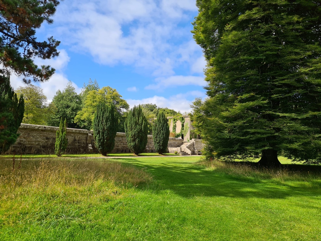 🇮🇪 Woodstock Gardens in Inistioge, County Kilkenny, are renowned for their vast collection of rare and exotic trees. Hike up to the estate through a gorgeous woodland area with river views!