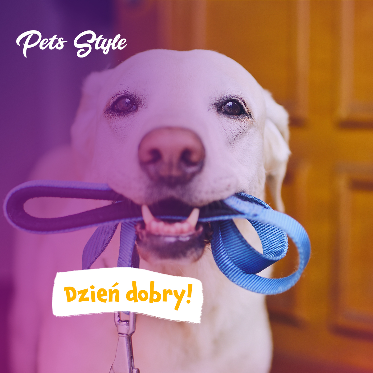 MagazynPets's tweet photo. 𝗣𝗼𝗯𝘂𝗱𝗸𝗮❗ 𝗖𝘇𝗮𝘀 𝗻𝗮 𝘀𝗽𝗮𝗰𝗲𝗿❗

𝑪𝒛𝒚𝒕𝒂𝒋 𝒎𝒂𝒈𝒂𝒛𝒚𝒏 𝑷𝒆𝒕𝒔 𝑺𝒕𝒚𝒍𝒆 𝒛𝒂 𝒅𝒂𝒓𝒎𝒐 𝒊 𝒅𝒃𝒂𝒋 𝒐 𝒛𝒅𝒓𝒐𝒘𝒊𝒆 𝒔𝒘𝒐𝒋𝒆𝒈𝒐 𝒑𝒖𝒑𝒊𝒍𝒂 - https://t.co/DVpj3s3D5v https://t.co/GXfyldHgIC