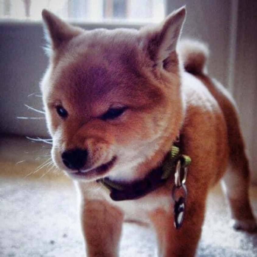 Tikera12's tweet image. 