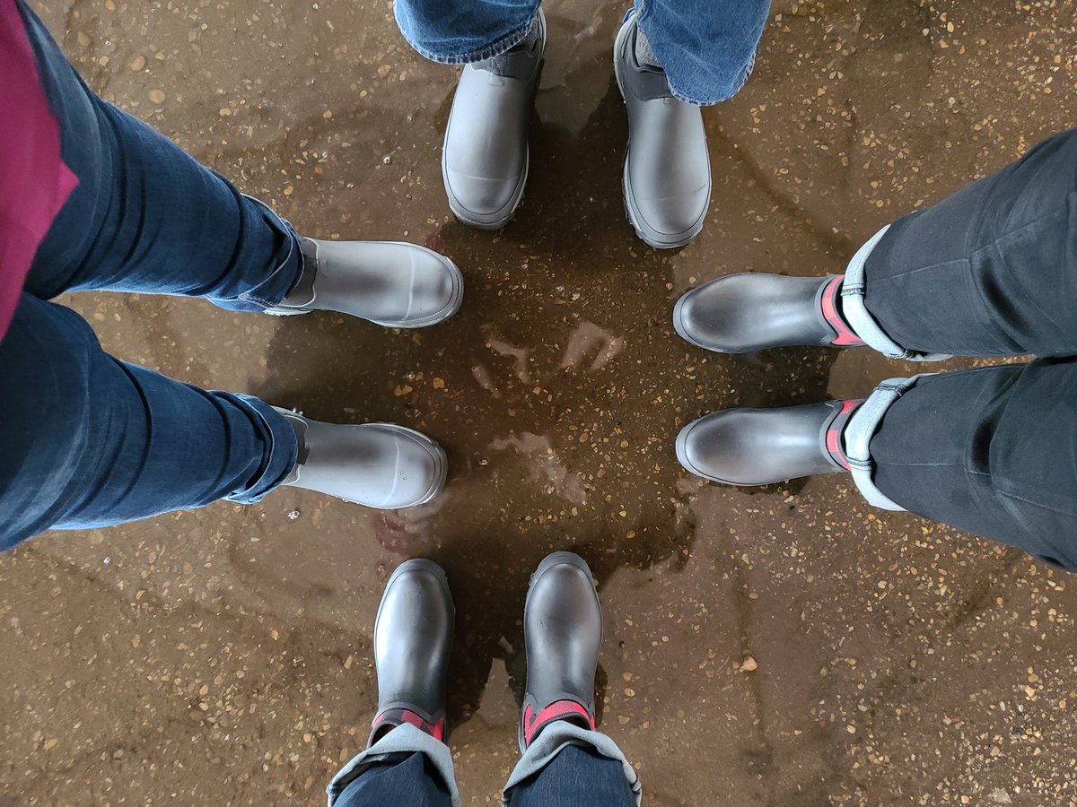 CEOEvents's tweet image. Team "rubber boots" today!!!
-3 C tonight rain and snow