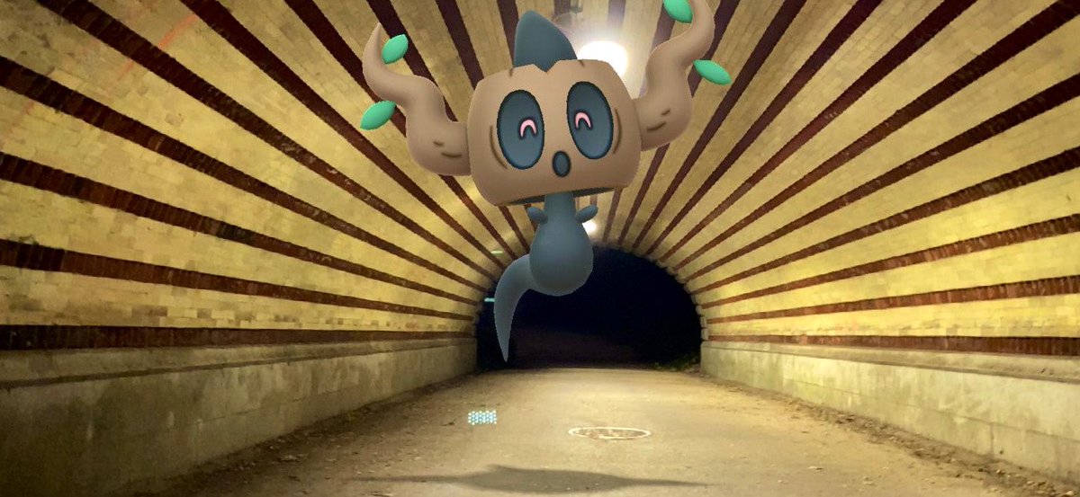 mypokediaries's tweet photo. 10.24.2021
#GOsnapshot
#ARPhotoADay
#PokemonGOHalloween
It’s the spooky season, part 3: Phantump is checking everyone for their vaccine status at this arch. Enter cautiously…
#ztdnews #phantump #ARofTheDay #PokemonGO5YearAnniversary #MeetYouOutThere #CatchYours #pokémongo https://t.co/r6hnP6Qdjb