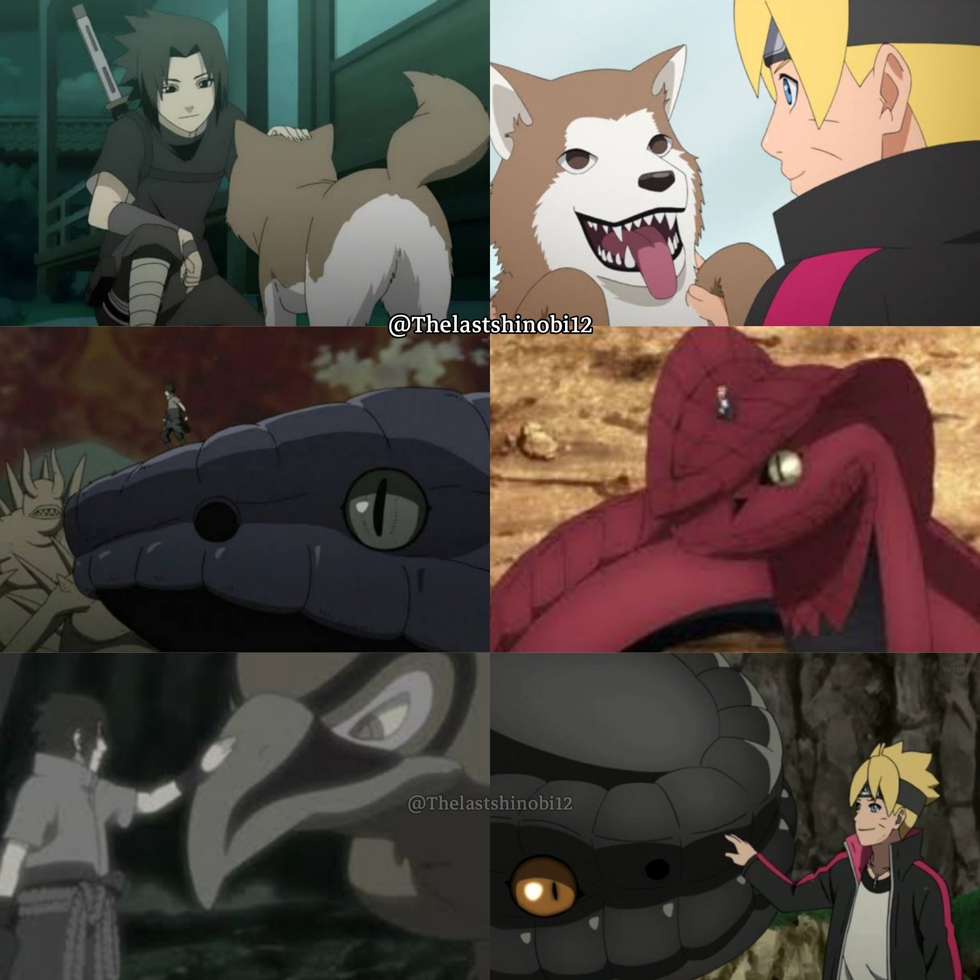 The Last Shinobi on Twitter: The Last Shinobi on Twitter: