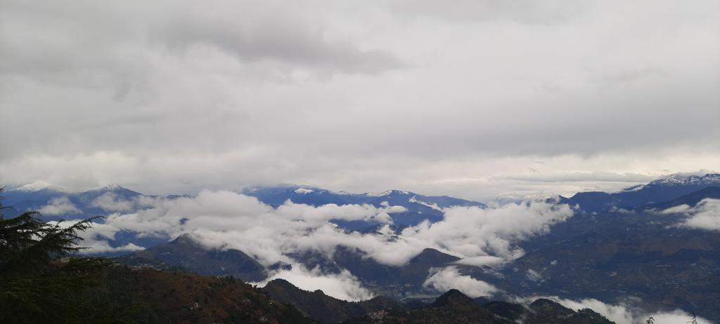 ash4intelways's tweet photo. #Mystic #mountains dew fresh #mornings soft #warm #lana #wool sweater #fur #autumn #winter #fog #mist gentle #breeze of fresh #pine #deodar air hush of #snow #clouds swaying #ballad @ thy heavenly abode #himalaya #forest #nymph at #heaven #himachal #kalatop #IncredibleIndia https://t.co/F3F73ZhPzb