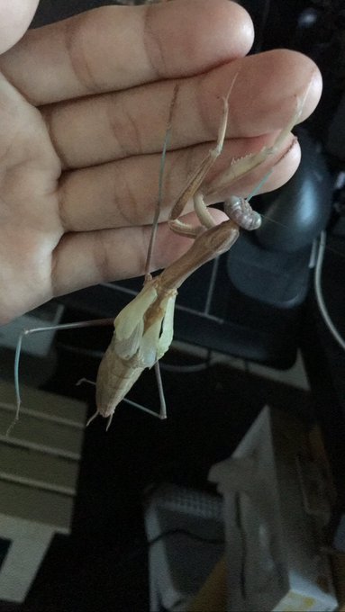 ここが安定したようです
ドレス👗が伸びきるまで付き合いますか 