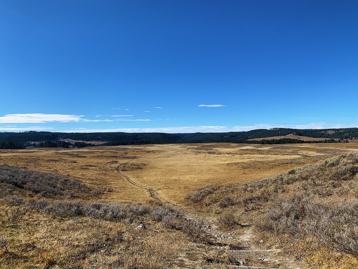 dariangshark's tweet photo. I can’t explain how beautiful this place is @YellowstoneNPS https://t.co/gnlrHOJNjE