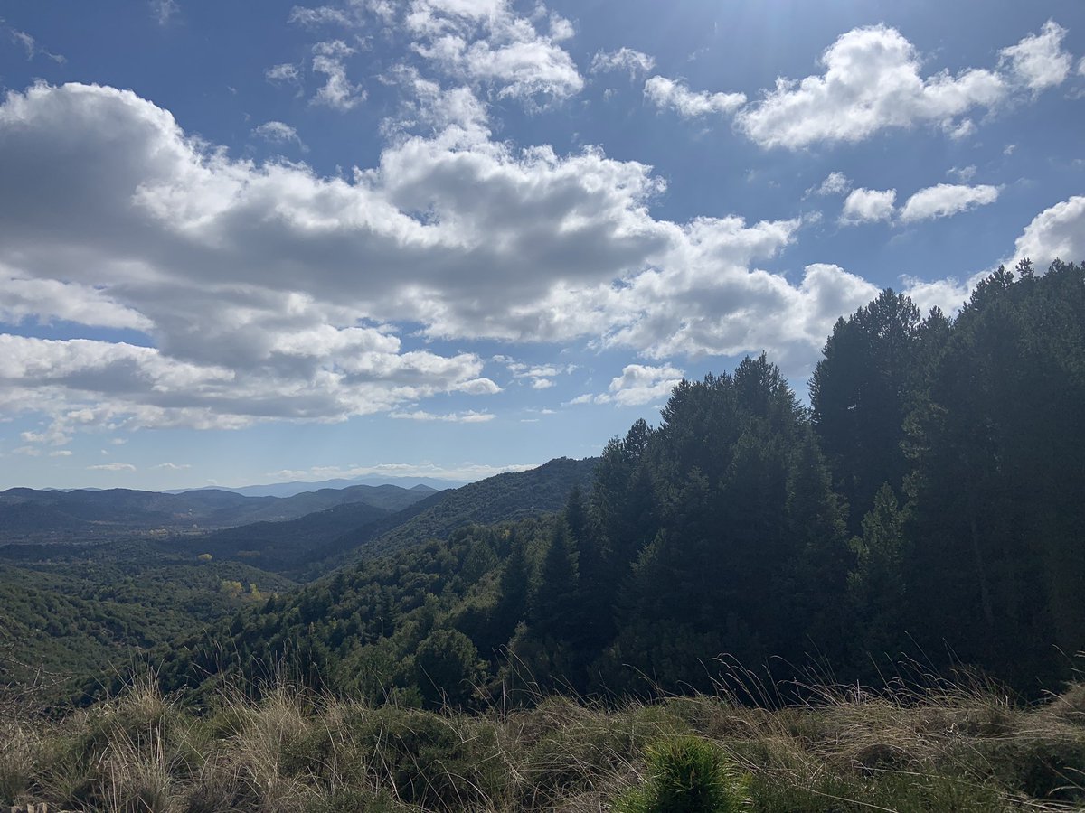 Just breathtaking views - and trees! #Greece #mountains #NaturePhotography #beautiful #trees #nature