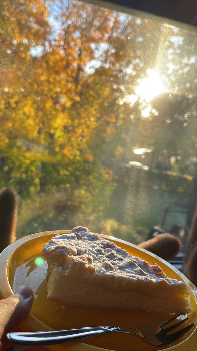 jus2one's tweet photo. Der Herbst ist so eine tolle Jahreszeit. Und ein schöner Sonnenaufgang ist immer toll https://t.co/QlGDkhyN6L