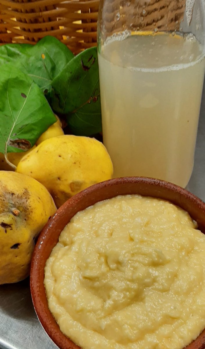 alacarral's tweet image. Què en sortirà d’aquests codonys tan hermosos? @vilafrancacasafont Un allioli de codony extraordinari!
#codonys #tardor #fruits de tardor #fruits de la terra #allioli de codony #alacarral #LaCarral