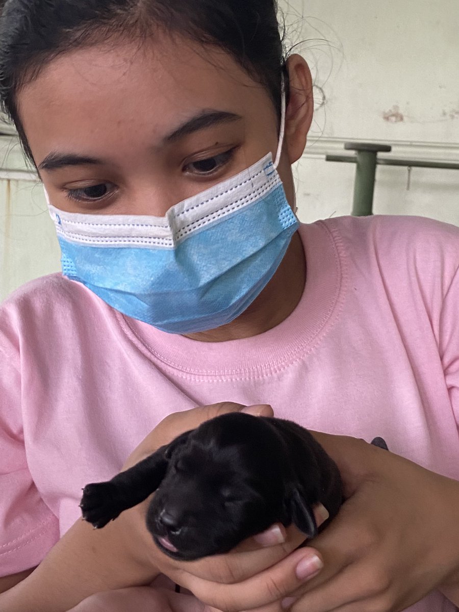 formerjuliet's tweet image. Happy sunday! Meet our new #kakampiks 
#kidsforleni 
#petsforleni 
#pupsforleni 
#LetLeniLead