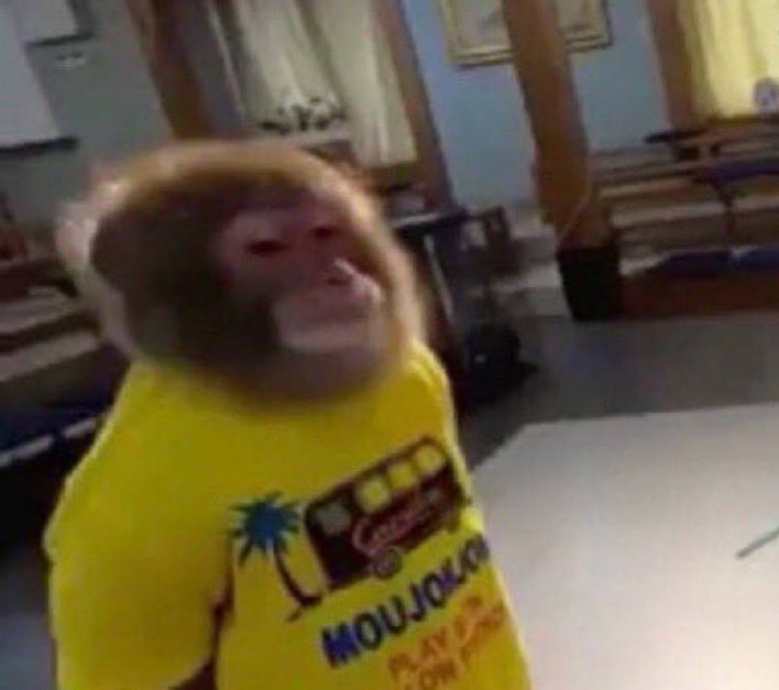 ALoz_Here's tweet photo. Really gotta stop saving monke pics. My phone storage can’t handle anymore… https://t.co/iLfoAz4vMI