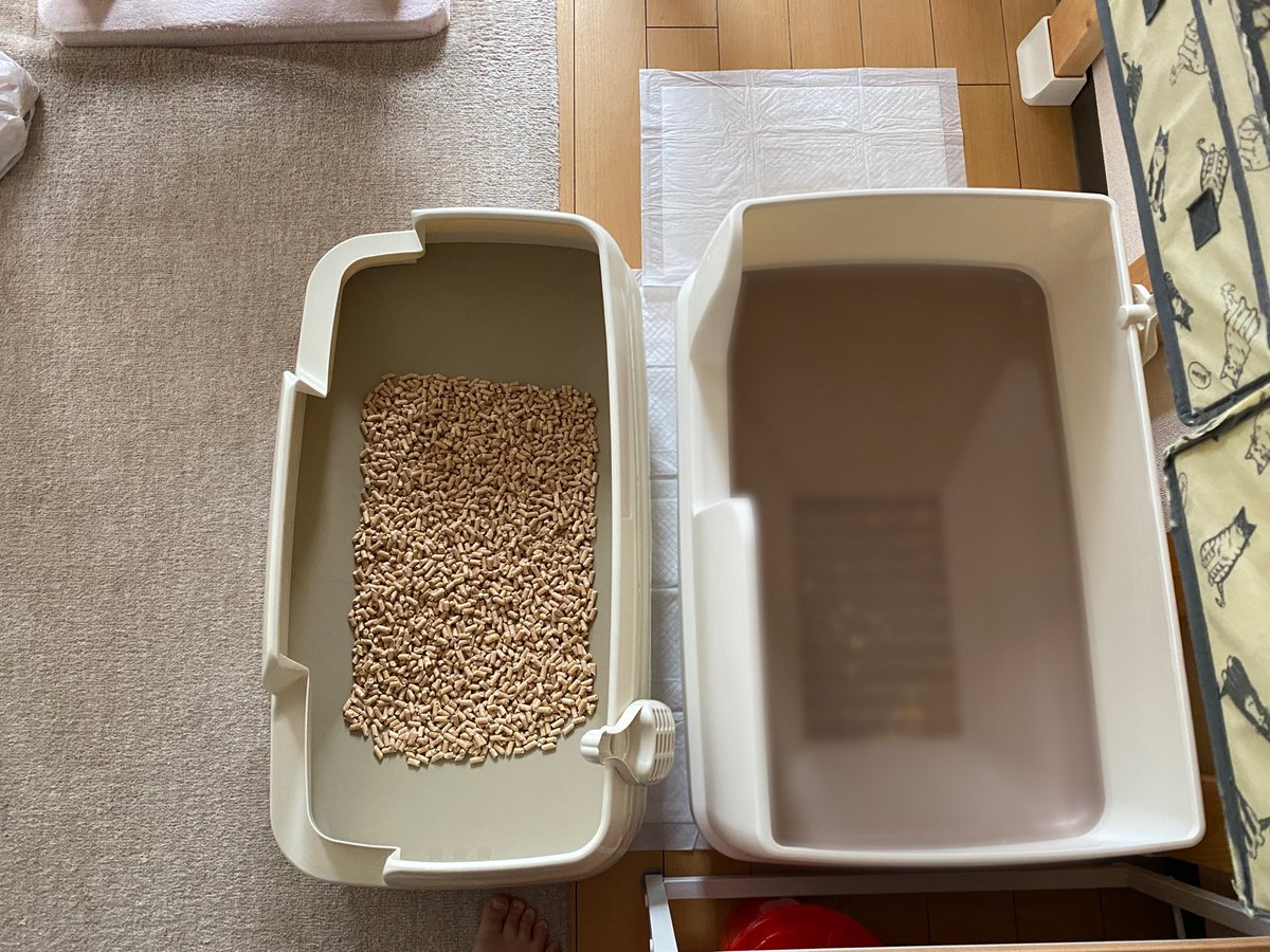 ferretomo_'s tweet photo. デオトイレ快適ワイドからニャンとも清潔トイレのびのびリラックスに乗り換え🚽
快適ワイドに比べて壁が低くなったのと奥行きが約5cm小さくなったのでスッキリ見える(横幅は快適ワイドより約5cm大きい)
#ニャンとも清潔トイレ
#ニャンとも清潔トイレのびのびリラックス
#デオトイレ快適ワイド https://t.co/VZ80Dlqeik