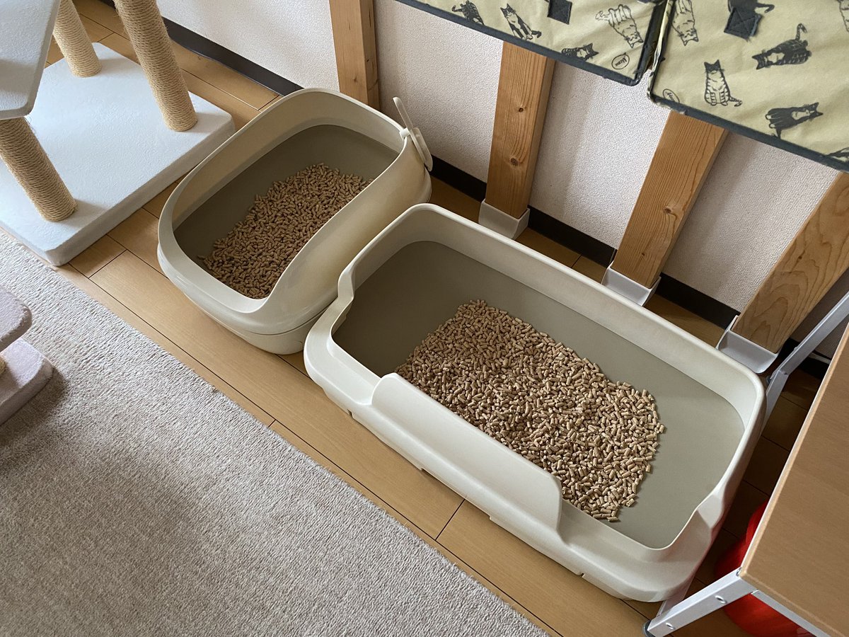ferretomo_'s tweet photo. デオトイレ快適ワイドからニャンとも清潔トイレのびのびリラックスに乗り換え🚽
快適ワイドに比べて壁が低くなったのと奥行きが約5cm小さくなったのでスッキリ見える(横幅は快適ワイドより約5cm大きい)
#ニャンとも清潔トイレ
#ニャンとも清潔トイレのびのびリラックス
#デオトイレ快適ワイド https://t.co/VZ80Dlqeik