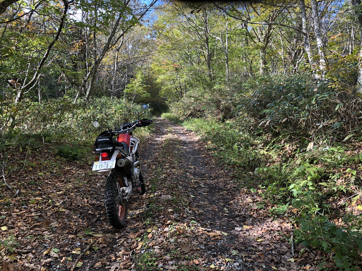 国道118号の最新通行止情報 今日現在・リアルタイム情報|ナウティス