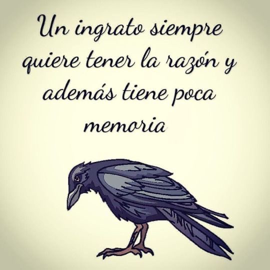Verdadero