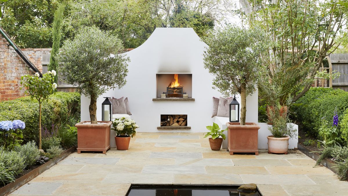 PeriodLivingMag's tweet photo. Best trees to grow in pots – 12 stunning ideas https://t.co/FnBOOG4LW9 https://t.co/ON1Ls3gvvC
