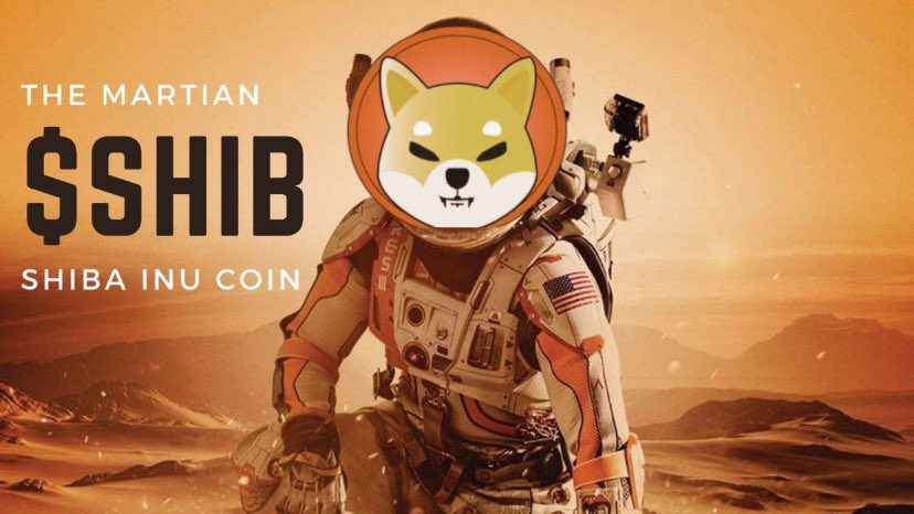 I can’t sleep lol #SHIBARMY #SHIBDELETEAZERO #shibainuHodler