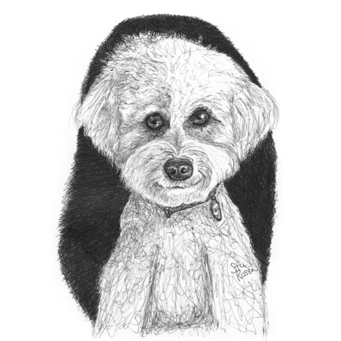 Finished commission from the Beverly Hills Art Show. They loved it so much they just gave me a referral. This is Oatie...