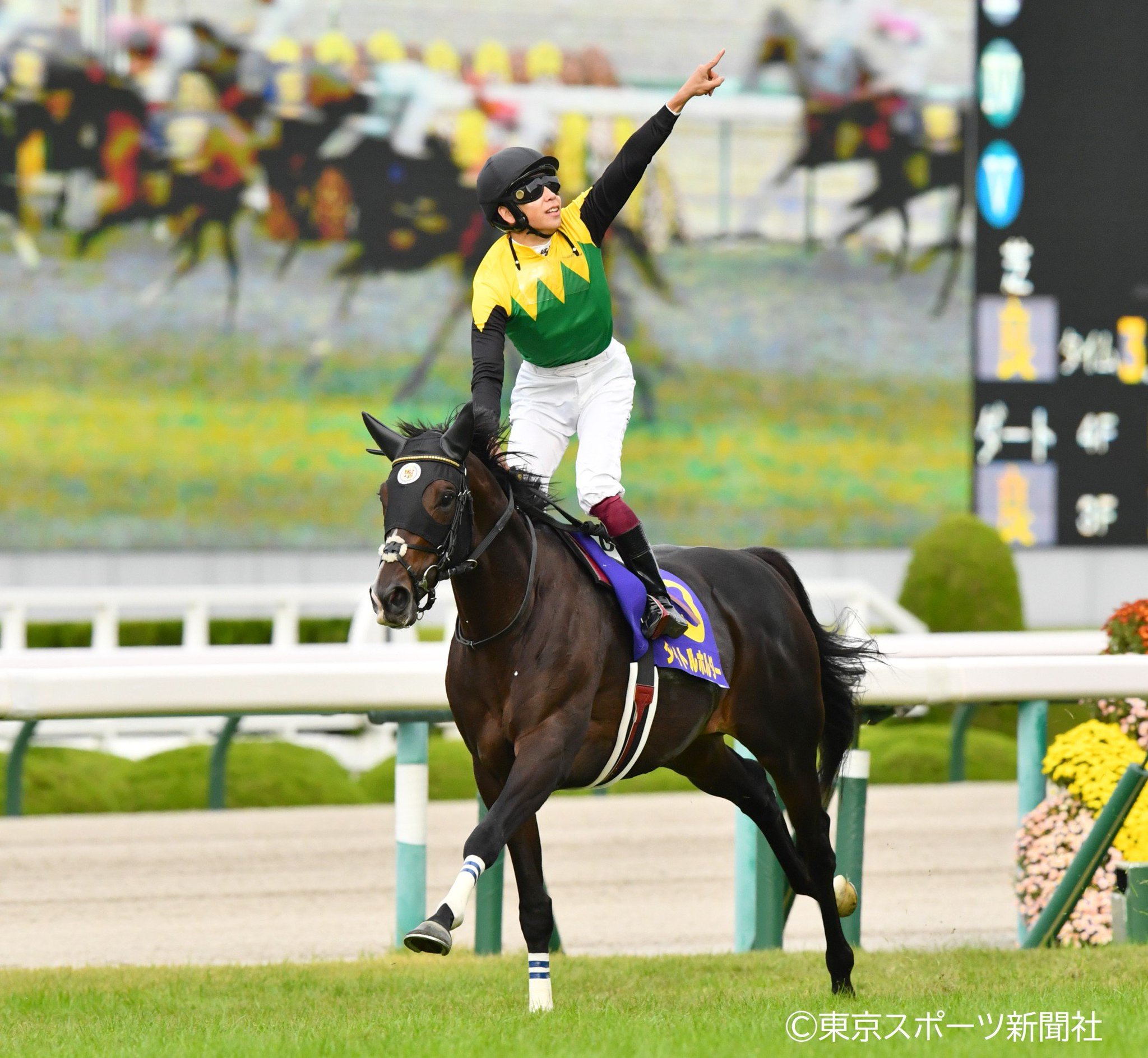 菊花賞  アルバム全タイトル FCcwKT1VUAQGcFk.jpg:large