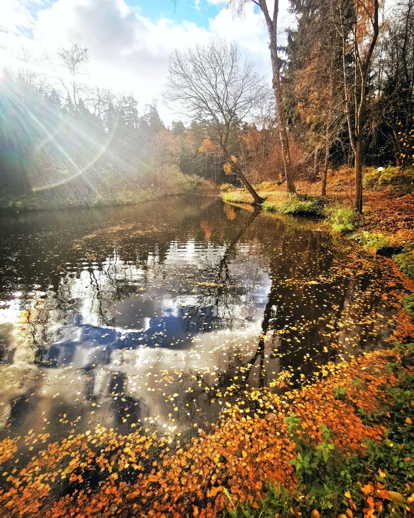 Riverside #autumn #morningroutine #sunrise #river #run #sunlight #leafs #october #orange #blue #mate20pro #landscape #picoftheday