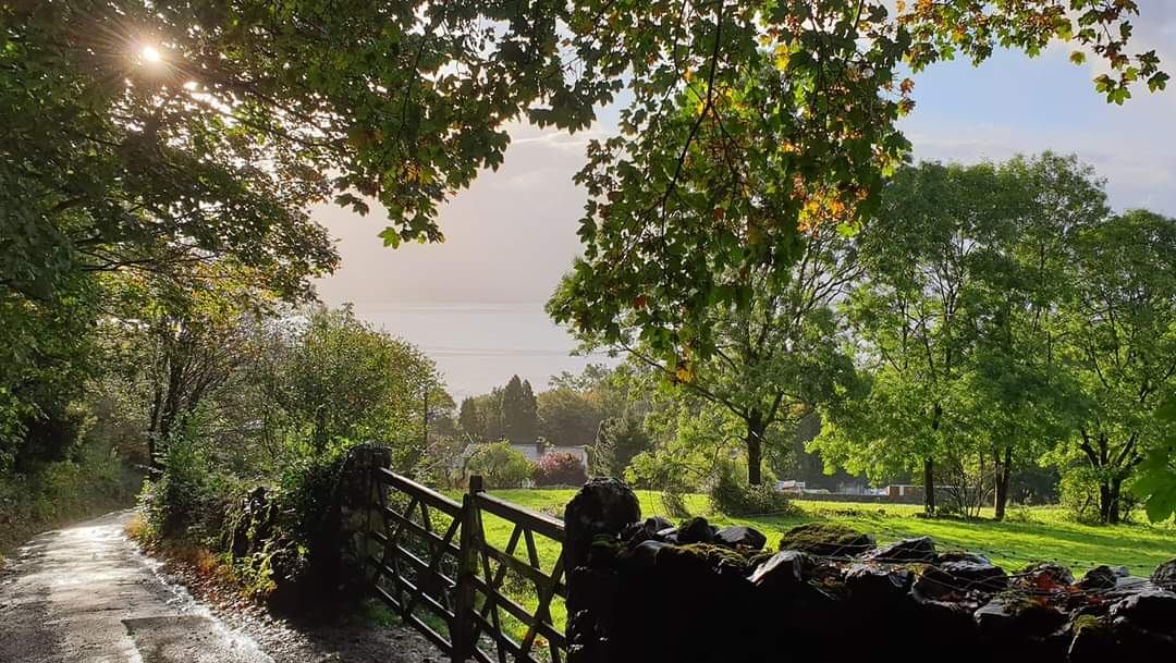 WalkOneStop tweet media