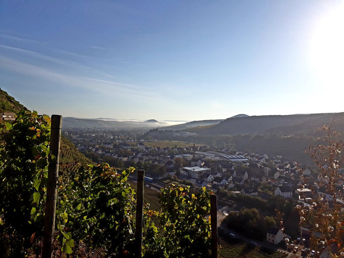 #Sonntagsausblick