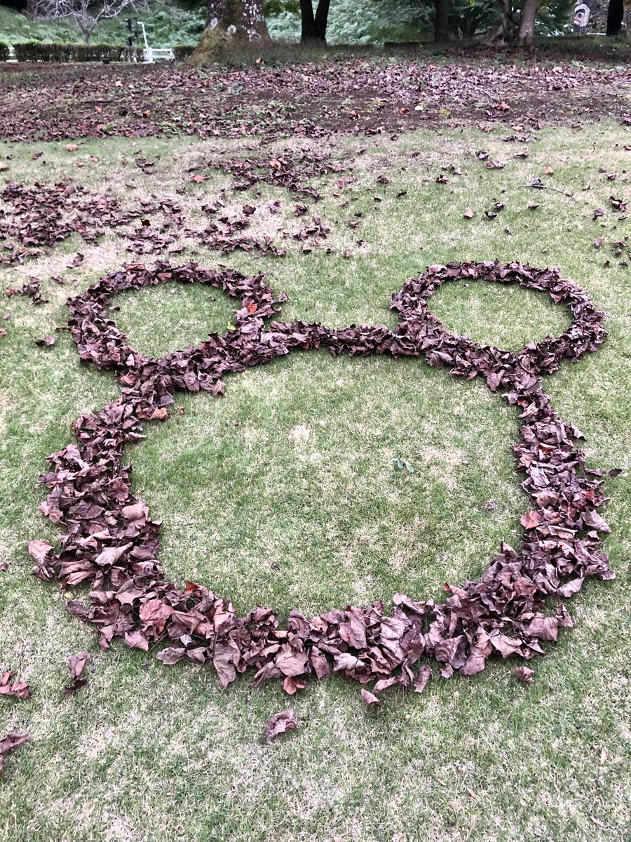 nijinosatocom's tweet photo. お客さまの
可愛いいたずら？
遊び心？ https://t.co/TUkZjJJ74k
