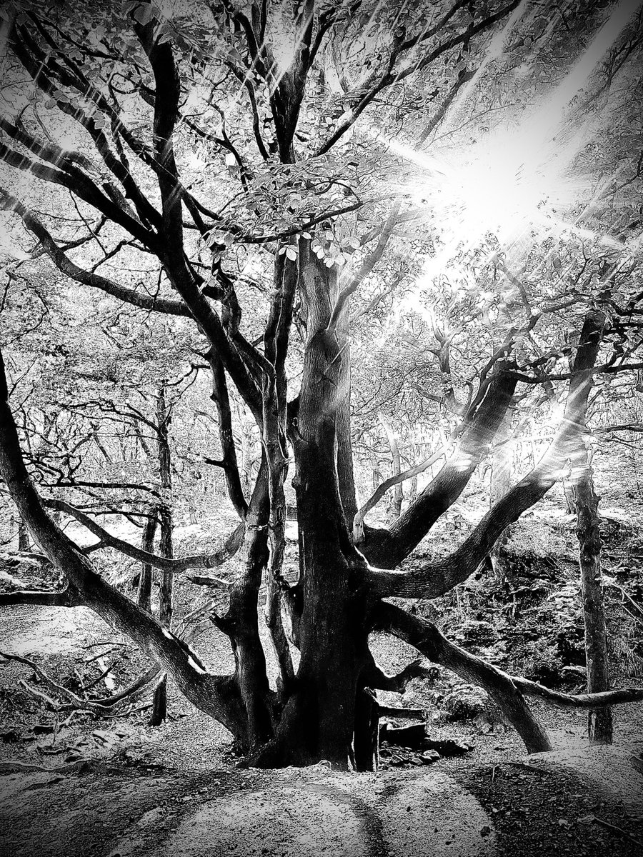 Tim Whitley tweet media