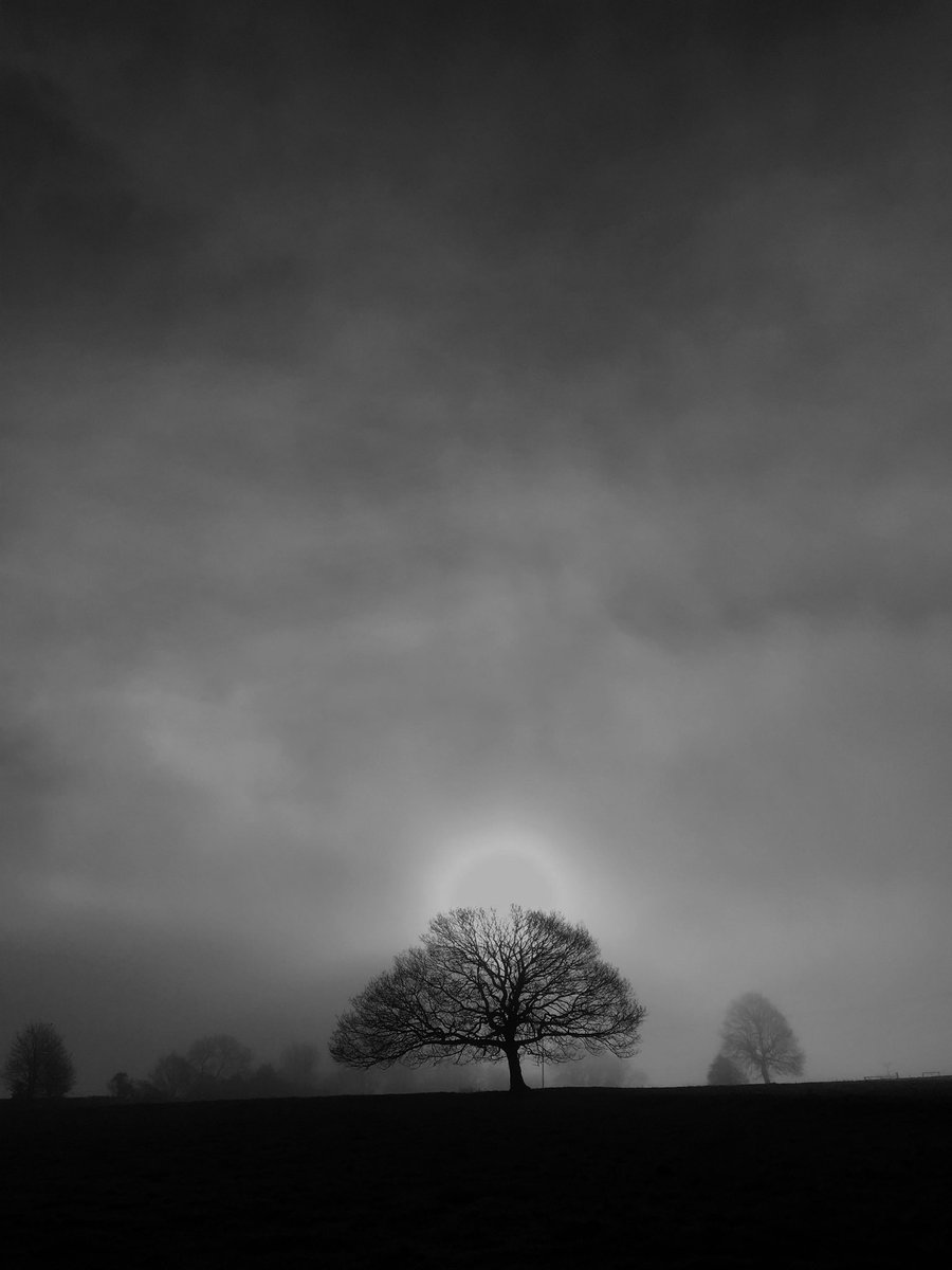 Tim Whitley tweet media