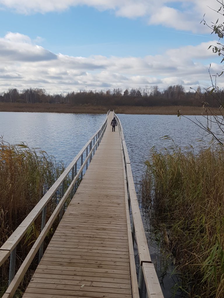 SirmaisD's tweet photo. Izcils galamērķis mājsēdes formātam un ne tikai ir Viļaka: 1)daudz tukšu bērnu laukumiņi; 2)maz cilvēku. Attālums no Rīgas 250km liekas tālu, bet mājsēdē laika resurss vismaz man skaitās neizsmeļamais resurss . P.S. Pa ceļam Balvos picērijā picas kā labākajos Rīgas hipsterlokālos https://t.co/Kh1JrHA14e