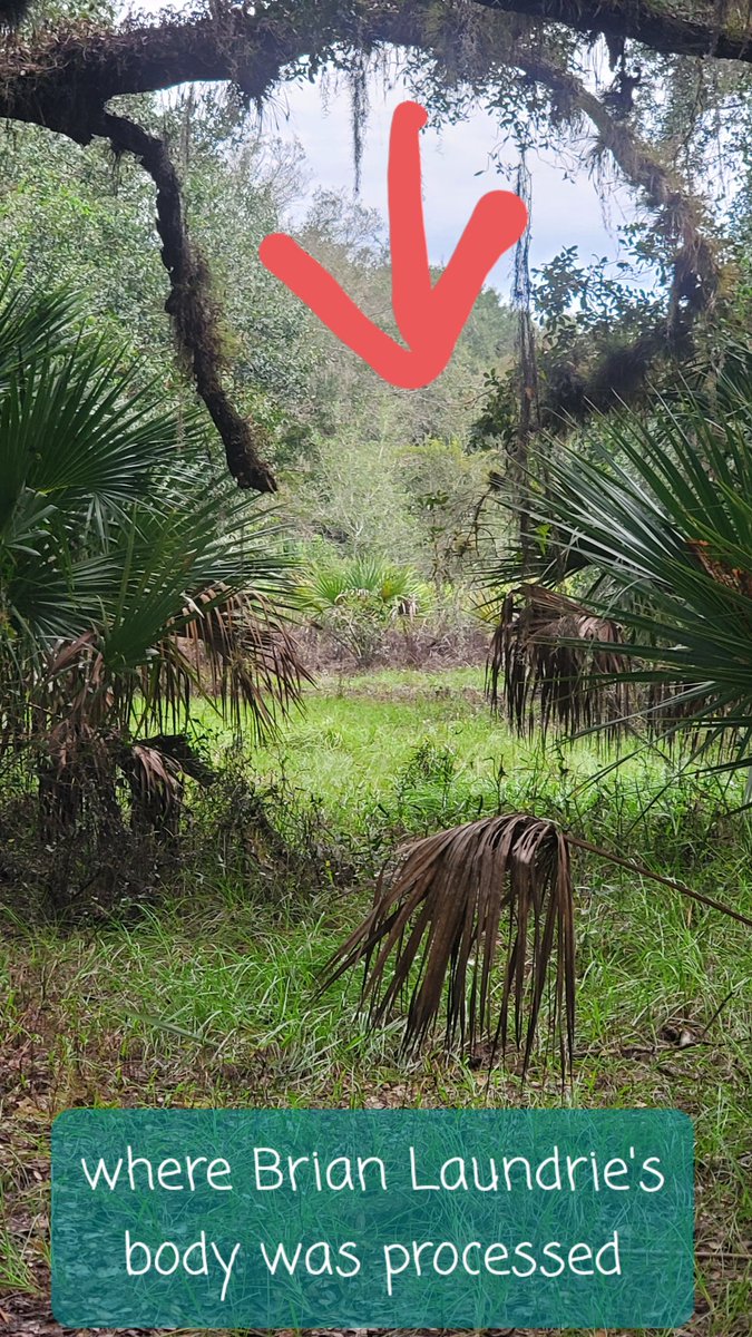 americanlaw411's tweet photo. #BREAKINGNEWS 
#gabbypetito #BrianLaundrie @R_I_C_H_E_S @prodxena
Might not be anything... Might be something. We made a report to the North Port City Police and a unit is in route.
We will keep everyone posted!
I can go live and it takes forever to post! https://t.co/gjBULaI20V https://t.co/bq0DNbdrXi