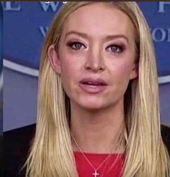 MaddieJake's tweet photo. @SanteenaR @kayleighmcenany https://t.co/IDXvSdxaPn