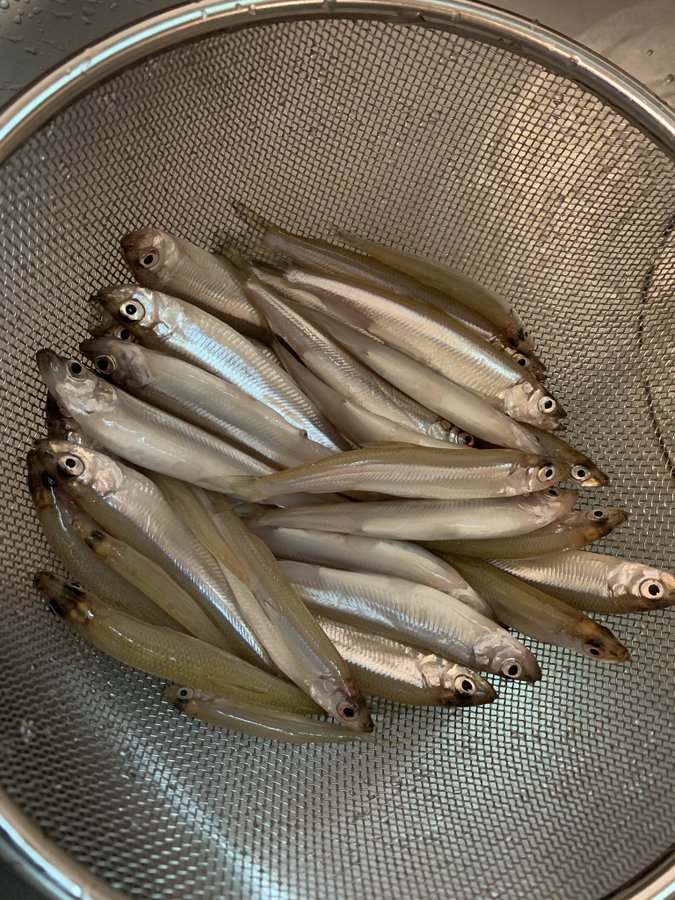 クイズ 公魚 ちゃんと読めますか Sotokoto Online ソトコトオンライン 未来をつくるsdgsマガジン