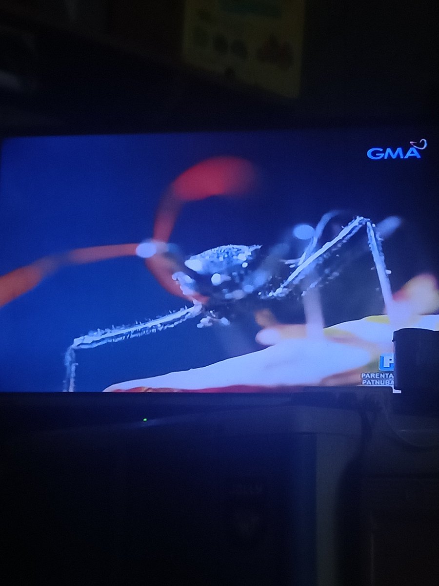 JoyMiranda1523's tweet photo. #KMJS 
OH NO😱 MAKAMANDAG NA HALIK...BEWARE PO SA GANITONG INSECT !!! https://t.co/axbBS0bu6j