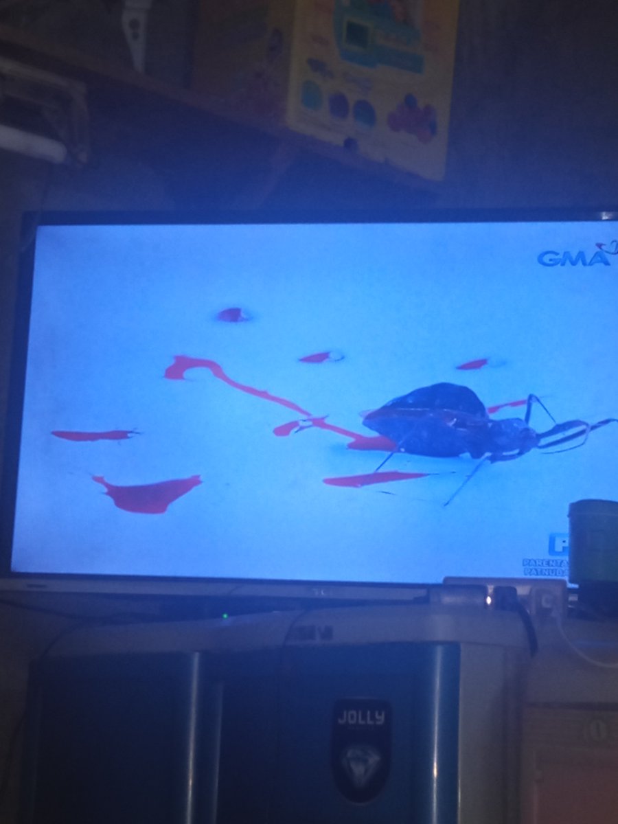 JoyMiranda1523's tweet photo. #KMJS 
OH NO😱 MAKAMANDAG NA HALIK...BEWARE PO SA GANITONG INSECT !!! https://t.co/axbBS0bu6j