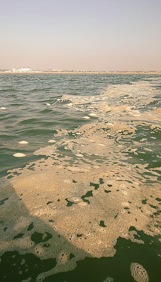 mgacramer's tweet image. This is the sea off the coast of your constituency @NickGibbUK Sewage stretching 2 miles from Bognor Regis to Pagham. Why did you vote against the amendment to the environment bill that would have outlawed @SouthernWater from doing this? 

#TorySewageParty 
#StoolBritannia