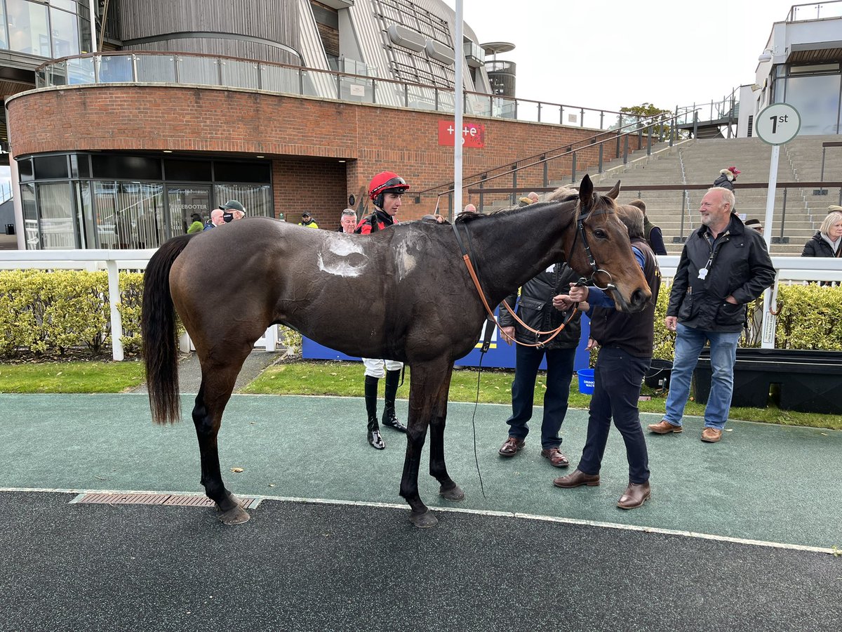 paulfergusonJTF's tweet photo. Uno Mas wins the opener at Aintree for @CWilliamsRacing https://t.co/bvEr0AMBi3