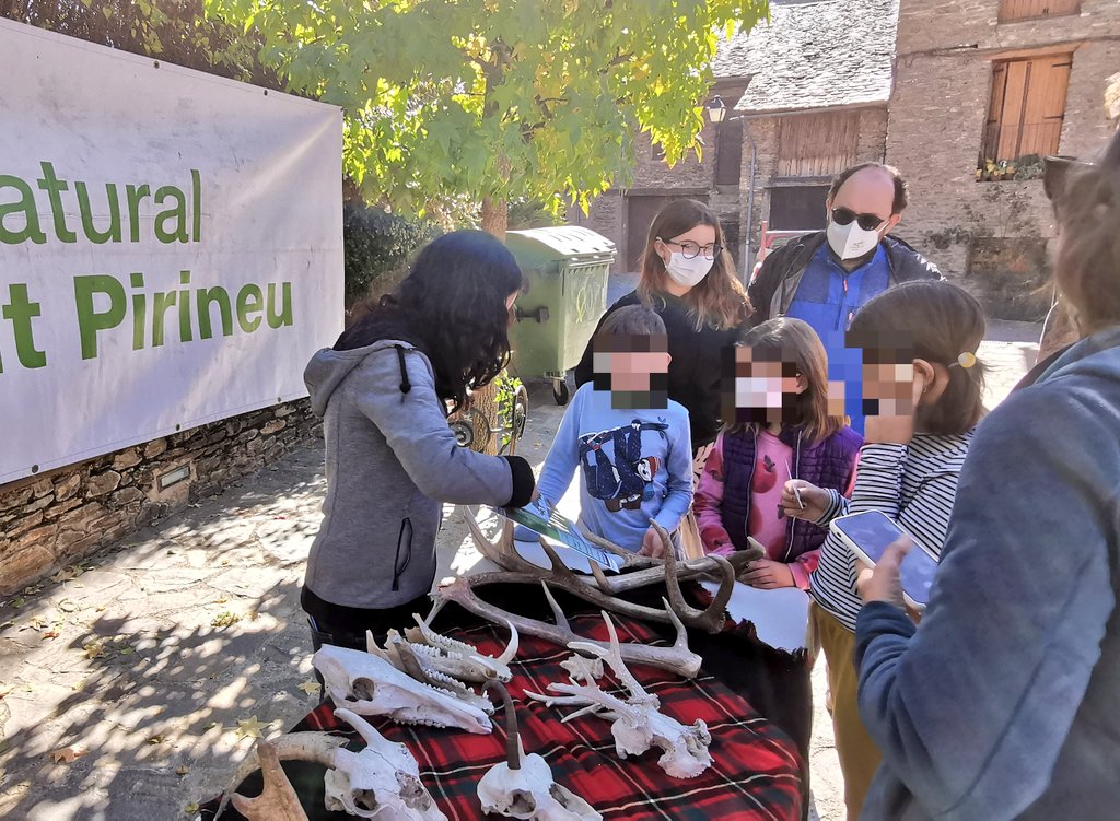 pnaltpirineu's tweet photo. Important assistència i bon ambient avui a la Fira de Tardor 🍁 de #Tírvia en un dia magnífic 🌞 amb diversos productors locals artesans 🧣 i un taller educatiu ambiental del #PNAltPirineu sobre els grans mamífers herbívors 🦌
#conservemlestradicions #consumeixlocal #PP3N https://t.co/8L3XedjfE6
