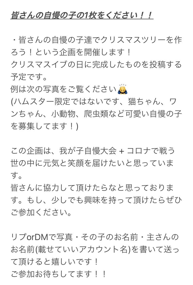 RuruKuro_ham's tweet photo. 皆さんのお力を貸してください！！

ルルクロ保育園、初企画！

"クリスマスツリーを作ろう"です。
詳しくは画像を見てもらえばと思います。

我が子を！という方大歓迎です

ぜひご協力お願いします🙇‍♂

#ハムスター 
#ハムスターのいる暮らし 
#企画 
#ご協力お願いします https://t.co/bBpz4xOIJY