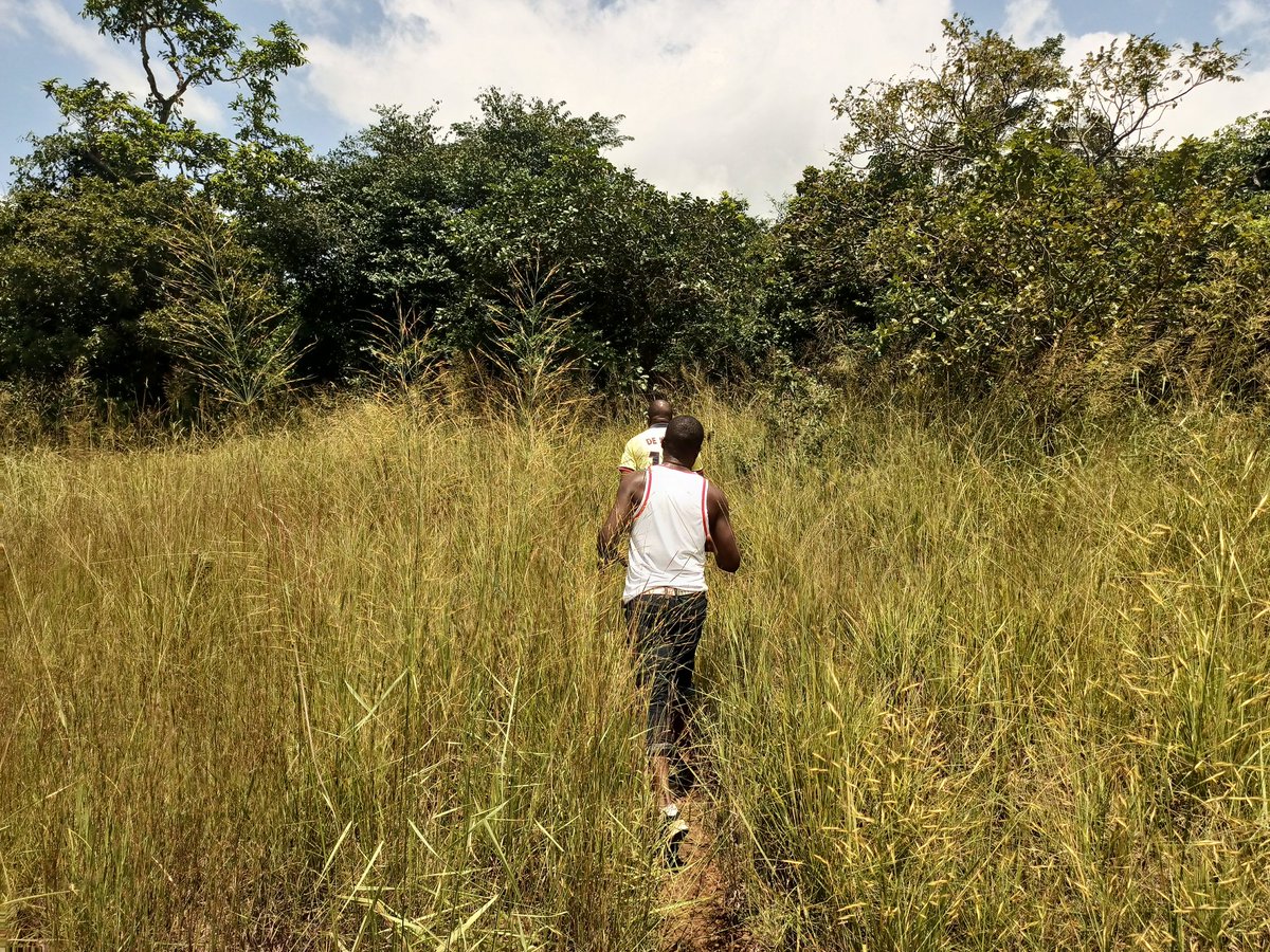 oyibo_ugbo's tweet photo. Everyday is an Adventure... Today's adventure to Nwonwo Waterfall..
#Tourism #Tourists #Waterfall #TourismInAlaIgbo #ExploreAwgu #VisitEnugu #OuTravelAndTour https://t.co/4SDOVzdW8C